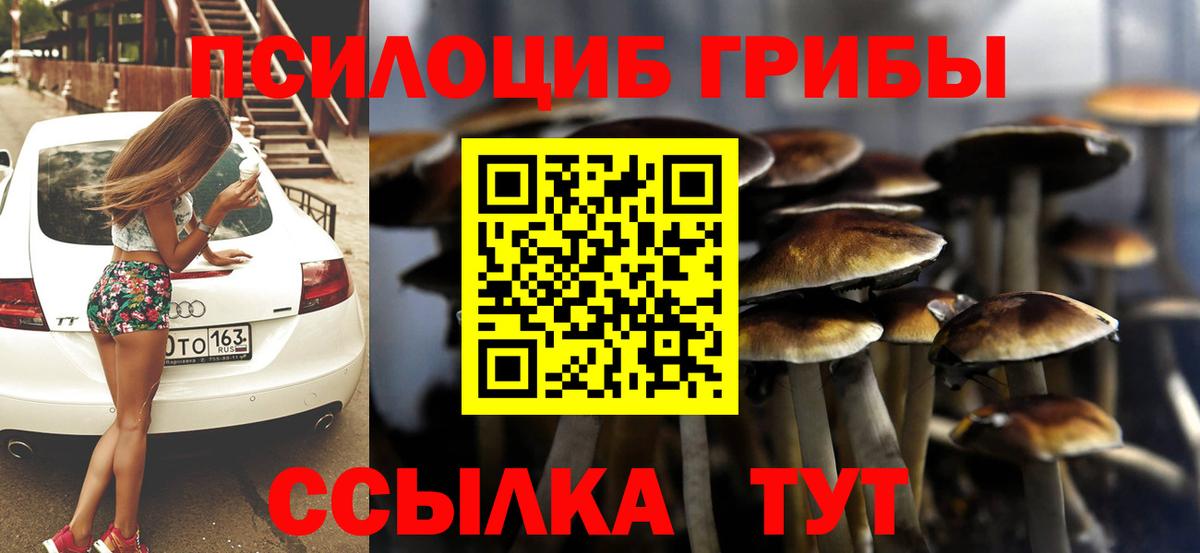 что такое наркотик  Вход с VPN  Сертолово  Галлюциногенные грибы Psilocybine cubensis 